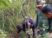“Darah Macan Tutul Jawa: Tragedi di Garut, Waspada!”