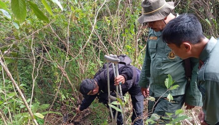 “Darah Macan Tutul Jawa: Tragedi di Garut, Waspada!”