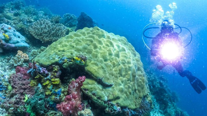 Ancaman Mengerikan Tambang Nikel di Raja Ampat - Update 1