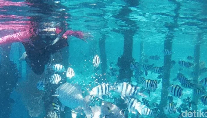 “KKP: Tambang Nikel di Raja Ampat Ancam Perairan, Sedimentasi Menyerang!”