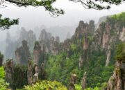 Buset, Puluhan Ton Sampah Dikeruk dari Gua ‘Hutan Avatar’!