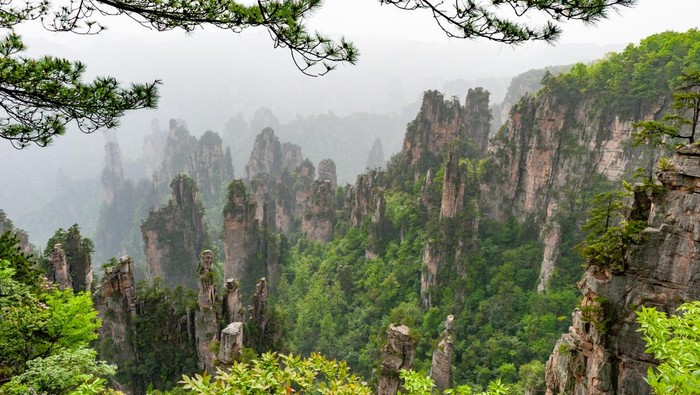 Buset, Puluhan Ton Sampah Dikeruk dari Gua 'Hutan Avatar'!