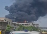 Tragedi Menyayat Hati: Pesawat Air India Jatuh Saat Lepas Landas di Ahmedabad, Bawa 242 Penumpang