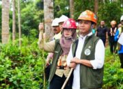 **Siap Liburan? Kemenhut Perketat Aturan Taman Nasional, 57 Destinasi Eksotis Menanti!**