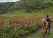 “Bromo Siaga: Cegah Pengunjung Ilegal, Pengawasan Dilipatgandakan untuk Keamanan wisata”