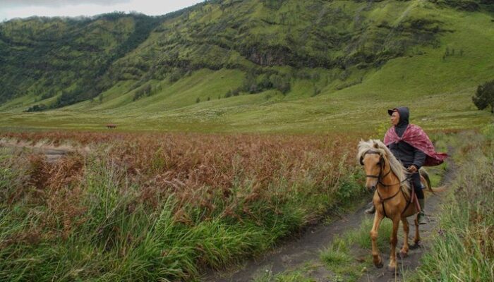 “Bromo Siaga: Cegah Pengunjung Ilegal, Pengawasan Dilipatgandakan untuk Keamanan wisata”