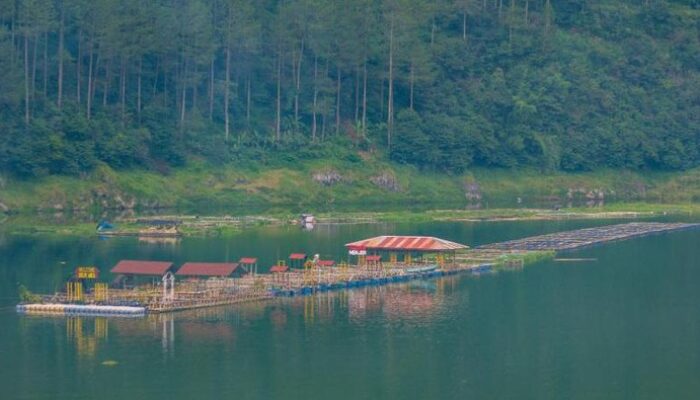 Viral! Wisatawan Terkejut Dengan Tarif Rp45 Ribu di Telaga Menjer, Kenapa Ini Terjadi?