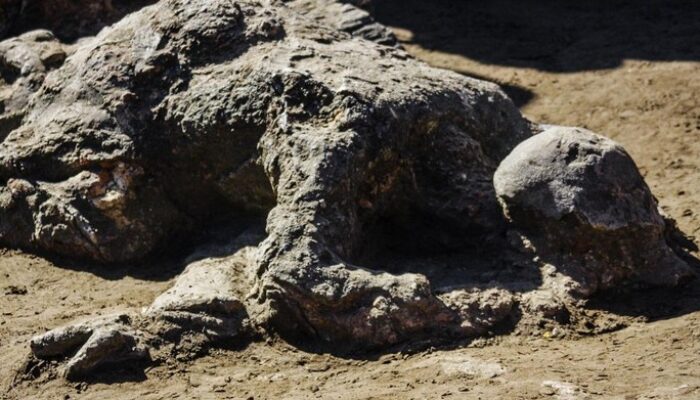 “Menjelajahi Keindahan Batu Malin Kundang: Destinasi yang Tetap Terbuka Meski Diganggu Pungli”