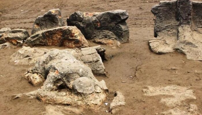 Pungli di Wisata Indonesia: 5 Kasus Terbaru yang Membuat Netizen Geram