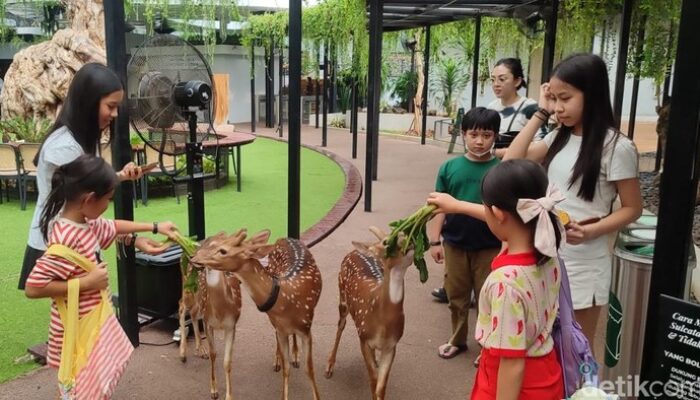 **Habitat Park SCBD: Taman Hewan Eksotis Tengah Pencakar Langit Jakarta**