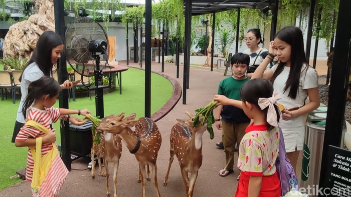 **Habitat Park SCBD: Taman Hewan Eksotis Tengah Pencakar Langit Jakarta**