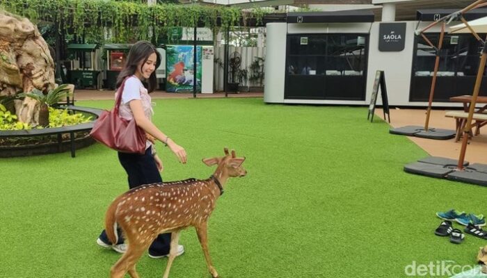 Fakta-fakta Menarik Hewan di Habitat Park SCBD: Para Penghuni Eksotis di Tengah Ibu Kota