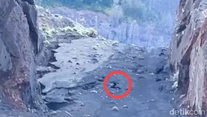 Tragedi Rinjani: Kronologi Turis Wanita Brasil Jatuh ke Jurang, Sebuah Cerita yang Menyedihkan