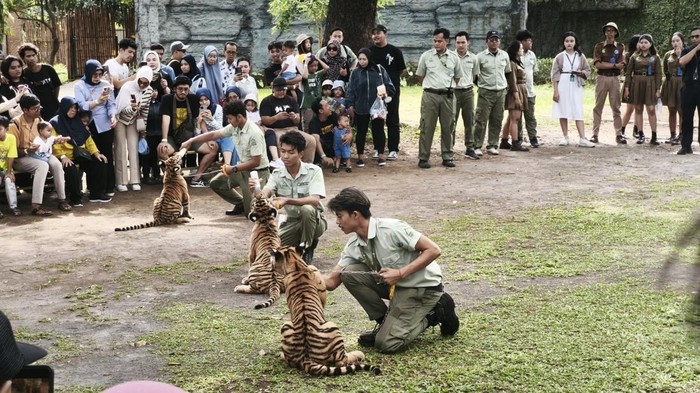 Solo Safari Gelar Funtasy Safari, Ada Gratis Tiket Anak! - Update 1