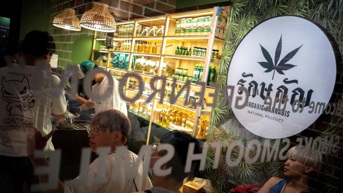 **Ganja Tak Lagi Bebas di Thailand, Petualangan Diundang Sebelum Kebijakan Baru!**