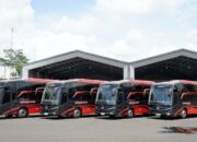 **PO Juragan99 Trans Beri Diskon Khusus Selama Liburan Sekolah, Ini Syaratnya**