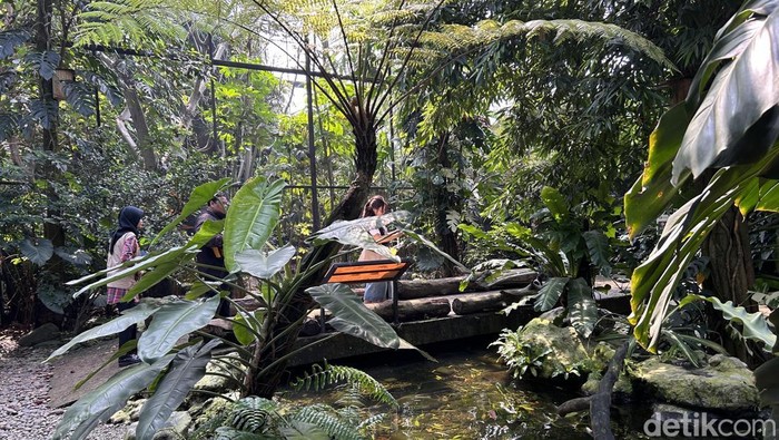 **Rekomendasi Wisata Ramah Anak di Bogor: Explore Animalium Science Center**