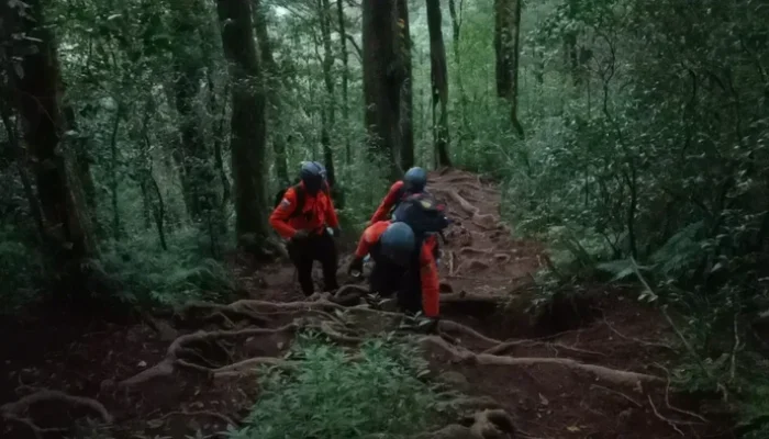 4 Pendaki Tersesat di Gunung Batukaru, Mereka Diduga Salah Jalur: Kisah Penyelamatan yang Mencengangkan