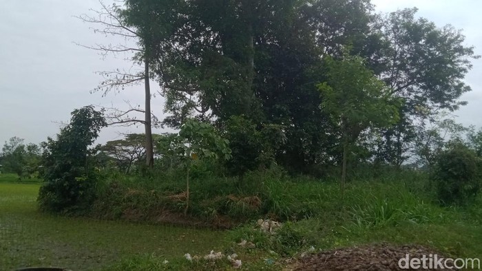 Dari Arca Kuno hingga Gumuk Asu: Kisah Perubahan yang Mempesona