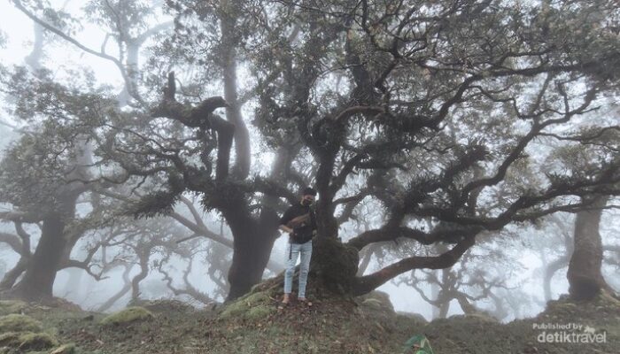**2 Pendaki Hilang di NTT, Mereka Selamat tapi Evakuasi Terhalang Kabut**