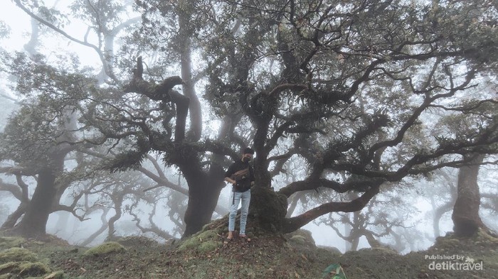**2 Pendaki Hilang di NTT, Mereka Selamat tapi Evakuasi Terhalang Kabut**