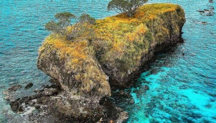 “Kisah Pulau Ular di Bima: Legenda Terkutuk yang Menantang Logika”