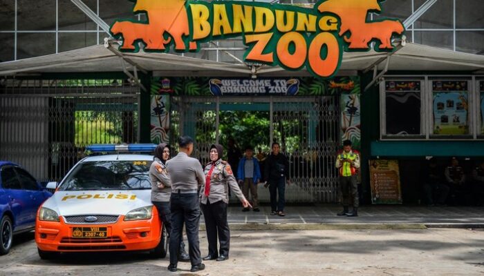 “Bandung Zoo Ditutup! Kenapa Dualisme Manajemen Mengguncangkan Dunia Travel?”