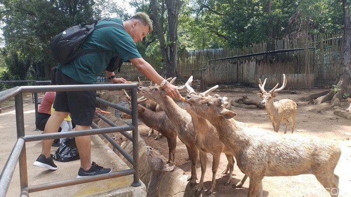 **Tragedi Hewan di Bandung Zoo: Imbas Konflik Manajemen yang Mengerikan**