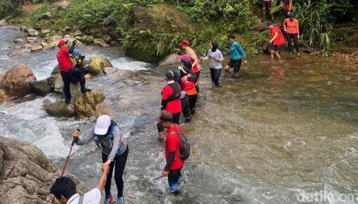 **Terpopuler: Healing di Gunung dengan Budget Rp 400 Ribu di Sentul**