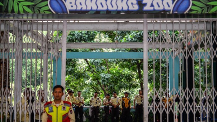 Bandung Zoo Ditutup Karena Konflik, Kemenhut Diminta Kaji Izin Pengelolaan