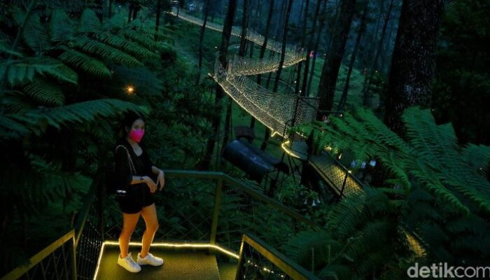 5 Destinasi Sejuk di Bandung dan Sekitarnya yang Cocok untuk Liburan Keluarga