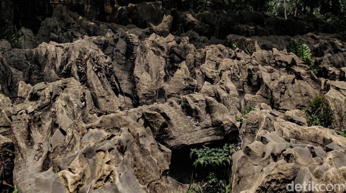 5 Destinasi Wisata Alam Alternatif, Lebih Tenang dan Hemat dari Puncak