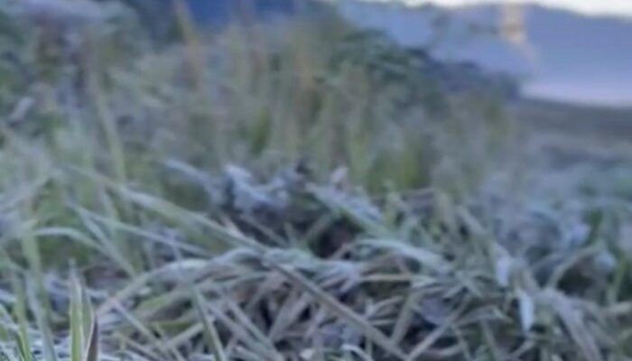 **Saat Embun Es Selimuti Gunung Bromo: Keindahan Tersembunyi di Dusun Cemoro Lawang**