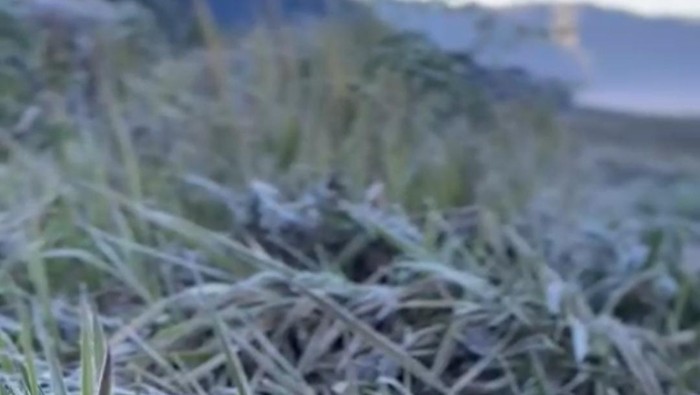 **Saat Embun Es Selimuti Gunung Bromo: Keindahan Tersembunyi di Dusun Cemoro Lawang**