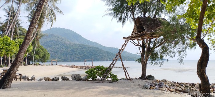 Hemat Tapi Nyaman? Ini Itinerary Karimunjawa 3 Hari 2 Malam yang Mungkin Anda Cari!