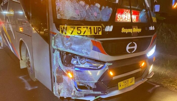 “Gagal Nyalip Bus, Tragedi Sugeng Rahayu: Pelajaran Fatal bagi Pengendara”