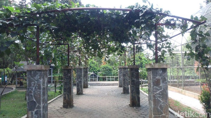 6 Kota Sejuk di Indonesia yang Jadi Surga bagi Pensiunan