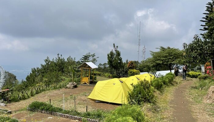 “Mawar Camp Gunung Ungaran: 5 Alasan Mengapa Ini Jadi Favorit Para Backpacker”