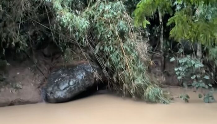 **Heboh, Batu Mirip Ular Raksasa di Tepi Sungai Khek, Thailand! Spot Wisata Baru yang Eksotis**