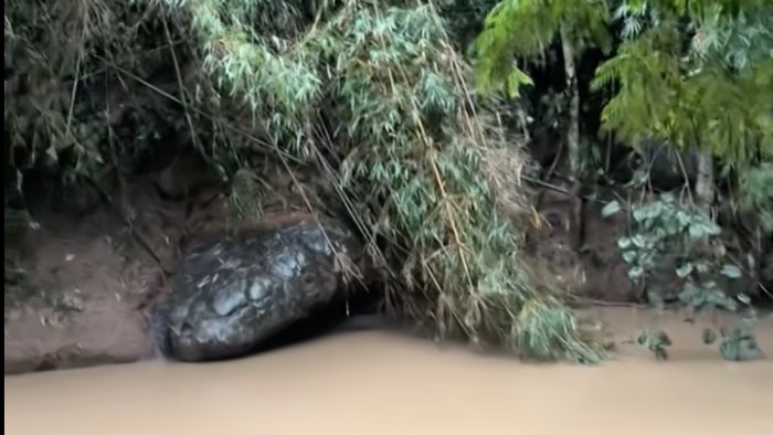 **Heboh, Batu Mirip Ular Raksasa di Tepi Sungai Khek, Thailand! Spot Wisata Baru yang Eksotis**