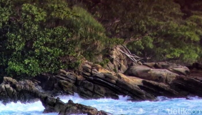 Mitos Pria Dewasa di Balik Karang Kontol Geopark Ciletuh – Update 1