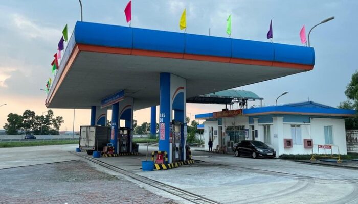 Vietnam Etanol Policy: Boosting US Imports or Environmental Risk?