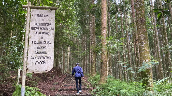 **TN Gunung Gede Pangrango Tutup Pendakian, Fokus Bersihkan Sampah!**