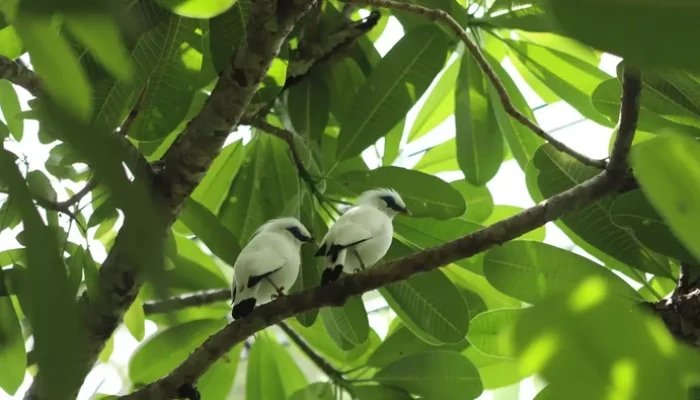 TSI: Lebih dari Liburan, Surga Edukasi dan Konservasi yang Wajib Dikunjungi!