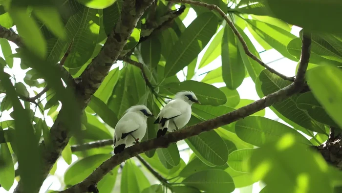 TSI: Lebih dari Liburan, Surga Edukasi dan Konservasi yang Wajib Dikunjungi!