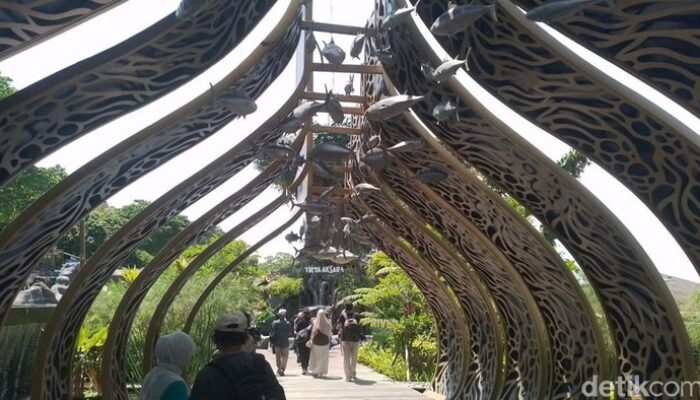 Menjelajahi Dunia Satwa dari Hutan Hujan hingga Laut Dalam di Marine Safari Bali