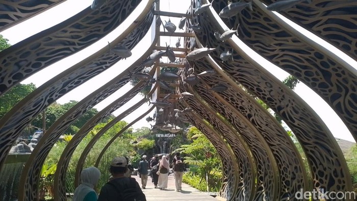 Menjelajahi Dunia Satwa dari Hutan Hujan hingga Laut Dalam di Marine Safari Bali