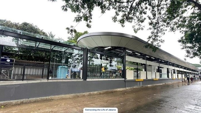 Berpetualang di Malam Ragunan Zoo, Akses Mudah dengan TransJakarta