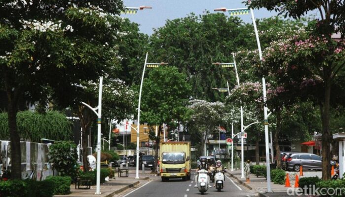 **Gokil! Kemang, Destinasi Keren Dunia 2025, Wajib Dikunjungi**