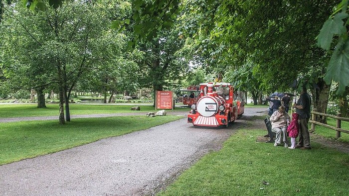 **Exploring Bonbin Fota: A Temporary Closure Due to Bird Flu Suspicions**